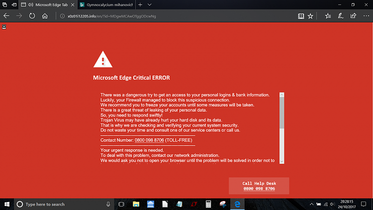Microsoft Critical Error Scam via hacked link. Any malware risk?-untitled2.png