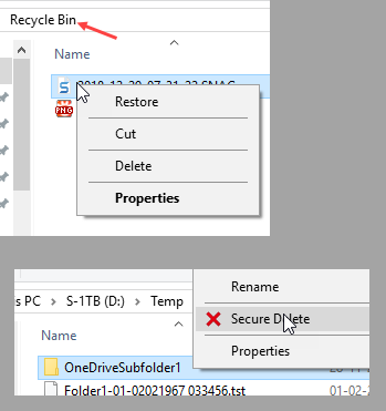 How to securely delete selected files in the Recycle.bin ...-snagit-29122018-152044.png