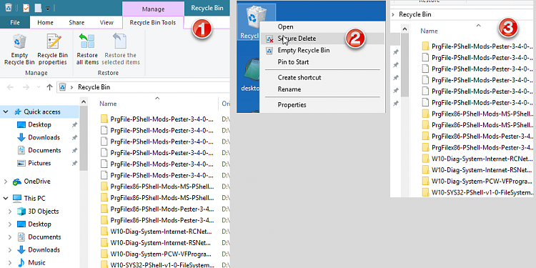 How to securely delete selected files in the Recycle.bin ...-snagit-30122018-055742.png