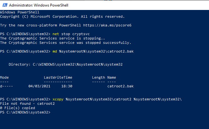 Privacy Error-powershell.png