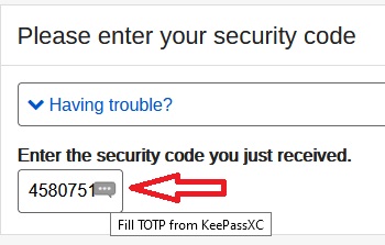 Is KeePassXC Blocking Me From Manually Entering a Password?-keepassxc-fill-toip-blocks-entry-security-code-w-arrow.jpg