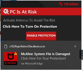 Notifications repeated antivirus malware-2023-08-12_15-07-29.jpg