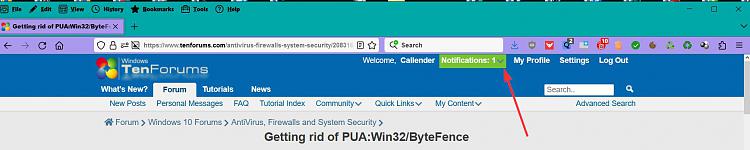 Getting rid of PUA:Win32/ByteFence-notify.jpg