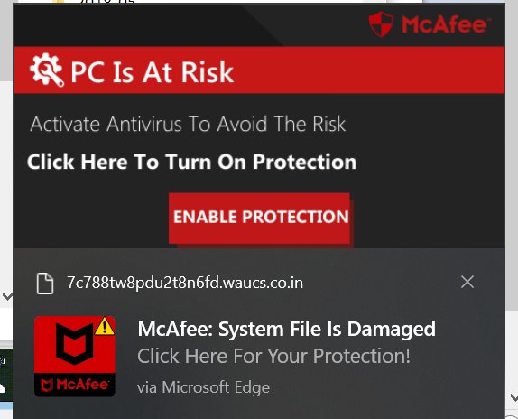 Pesky McAfee critical virus warnings - How to zap?-vir-2.jpg