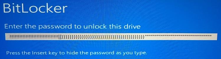 Bitlocker inputs multiple characters in the password field-bitlocker_fail.jpg