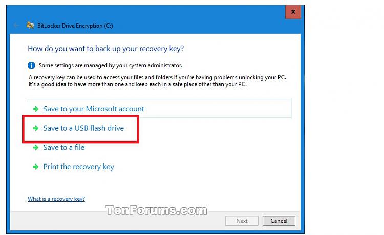 BitLocker Save to USB Flash missing?-untitled.jpg