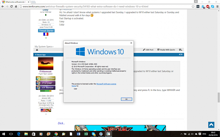 What extra software do I need with Windows 10-winver.png