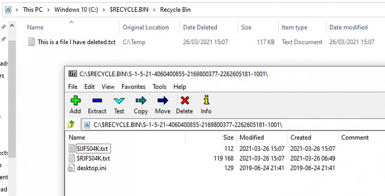 Macrium Reflect restores Recycle.Bin-recycle-bin-display-vs-actual-filename.png