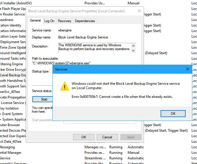 Windows Backup and Restore error 0x800700b7-bl.jpg
