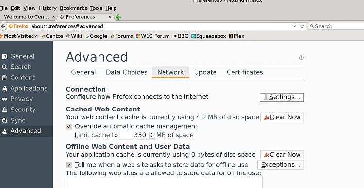 Firefox showing incorrect default home page on hosted domain ---snapshot11.png