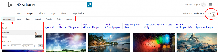 Bing: Can't Search Images by Size?-000151.png