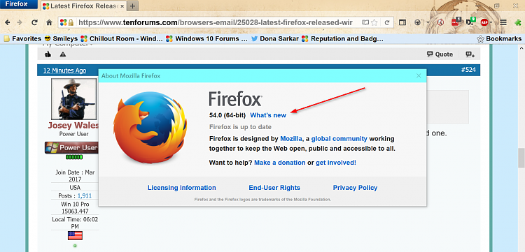 Latest Firefox Released for Windows-2017-06-29_18h04_57.png