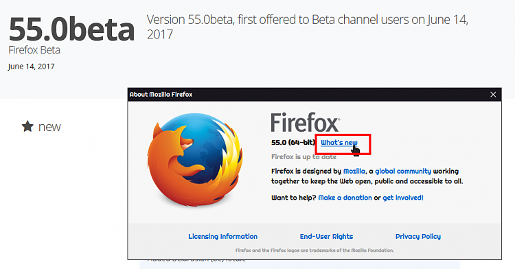 Latest Firefox Released for Windows-000484.png