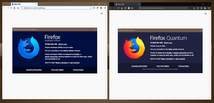I Need to Run two Version of Firefox-000027.png