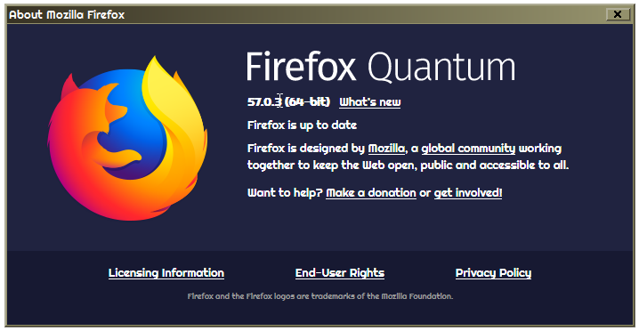 Latest Firefox Released for Windows-000031.png