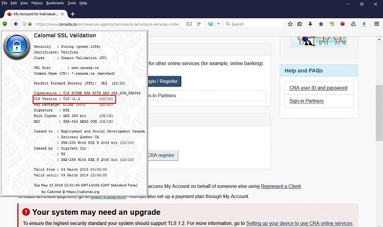 How do I enable SSL and TLS options in Edge and Chrome?-basilisk.jpg