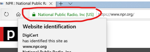 Green EV indicator on address bar missing in edge and IE11 on two PC's-image.png