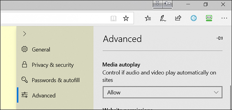 How do I make Microsoft Edge always muted? Must be muted by default.-snap-2019-09-03-09.21.55.png