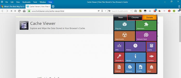 What's The Best Way To Clear Google Chrome Cache-click-clean-cache-viewer-2.jpg