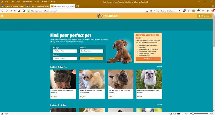 Website viewing problems.-pets4homes-vivaldi.jpg