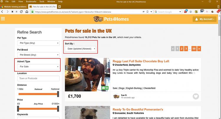 Website viewing problems.-pets-sale-uk-_-pets4homes-vivaldi.jpg