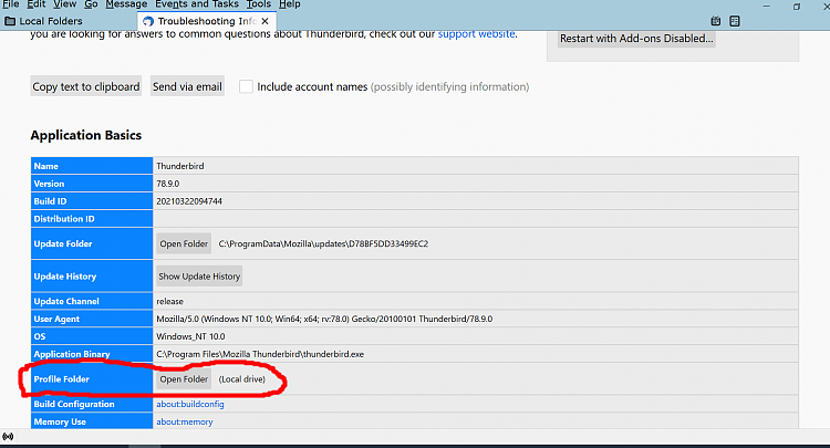 Thunderbird question - imap vs pop-tbird-profile.png