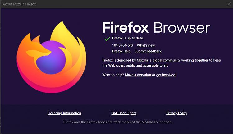 Latest Firefox released for Windows [3]-screenshot-2022-08-22-154840.jpg