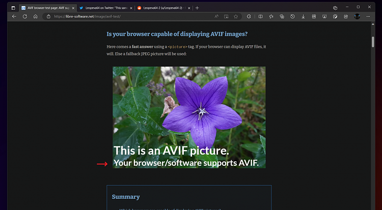 Latest Microsoft Edge released for Windows-edge-support-avif.png
