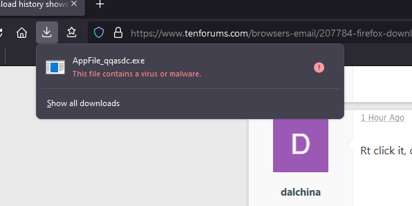 Firefox download history shows virus file and....-1.jpg