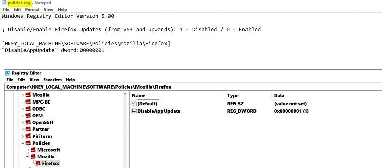Just for fun, testing and learning blocking FF updates trought EIS-registry-editor.jpg