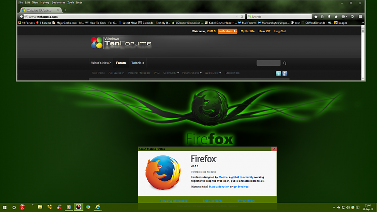 Mozilla Firefox 40.0 + Windows 10-screenshot-136-.png