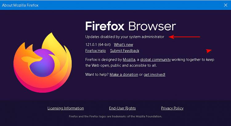 What the heck is this? (Firefox)-updates-disabled.jpg