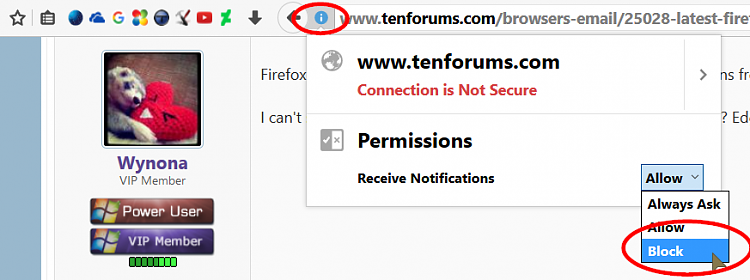 Latest Firefox Released for Windows-000064.png