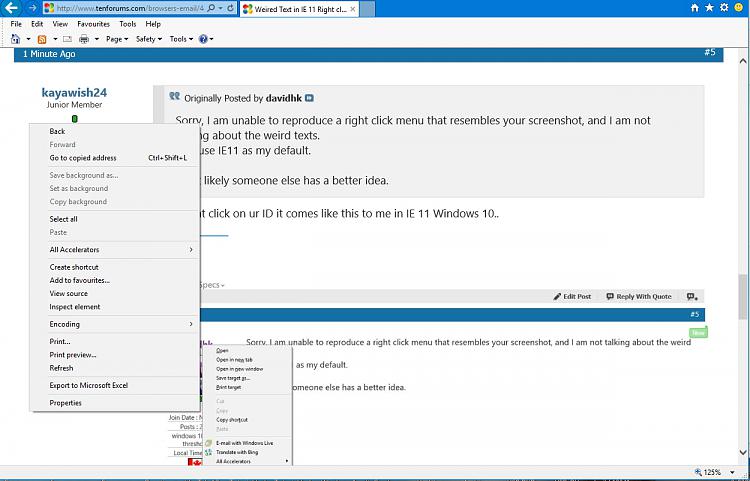 Weired Text in IE 11 Right click menu-right-click-menu.jpg