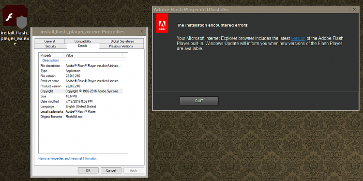 Latest Version of Adobe Flash Player-000074.png