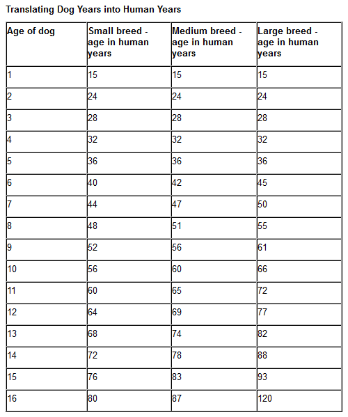 Which age category do you fall in?-000236.png