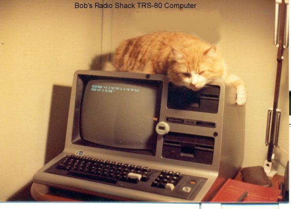1981 Radio Shack Computer Catalog:-scan0119.jpg