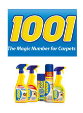 Number Game-1001_logo.jpg