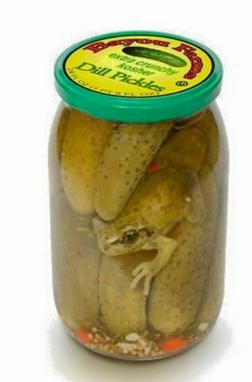 Last One To Post Wins [128]-frog-pickles-jar.jpg