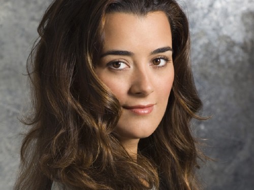 Last One To Post Wins [130]-ziva-david-wallpaper-ziva-david-25967902-1024-768-500x375.jpg