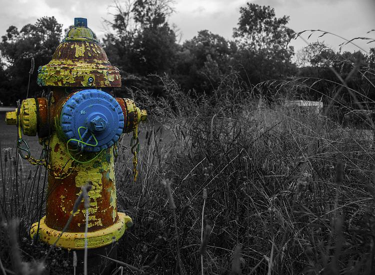 Cat and other pictures-fire-hydrant-art-version-5x7.jpg