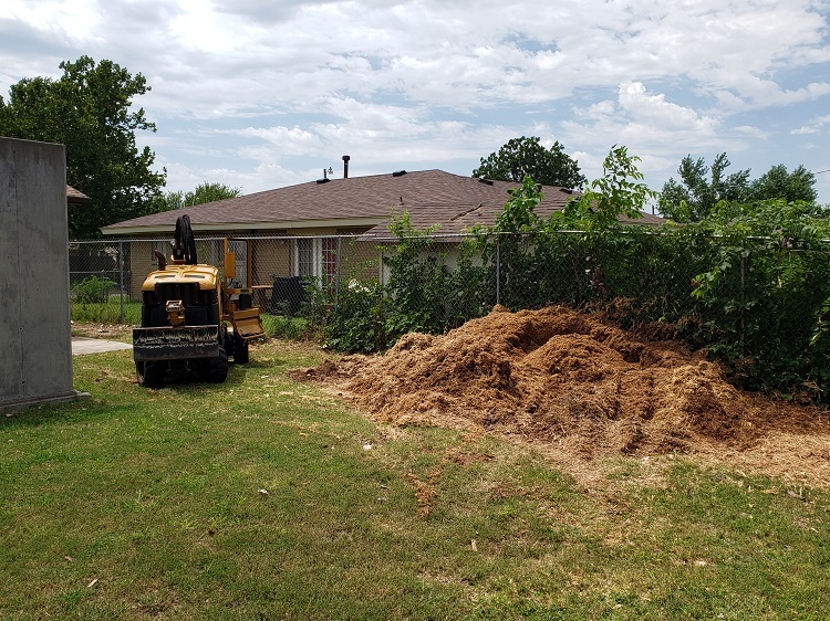 Two huge trees being removed-20200807_132243.jpg