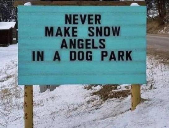 Funny Picture Thread [12]-snow-angels-dog-park.jpg