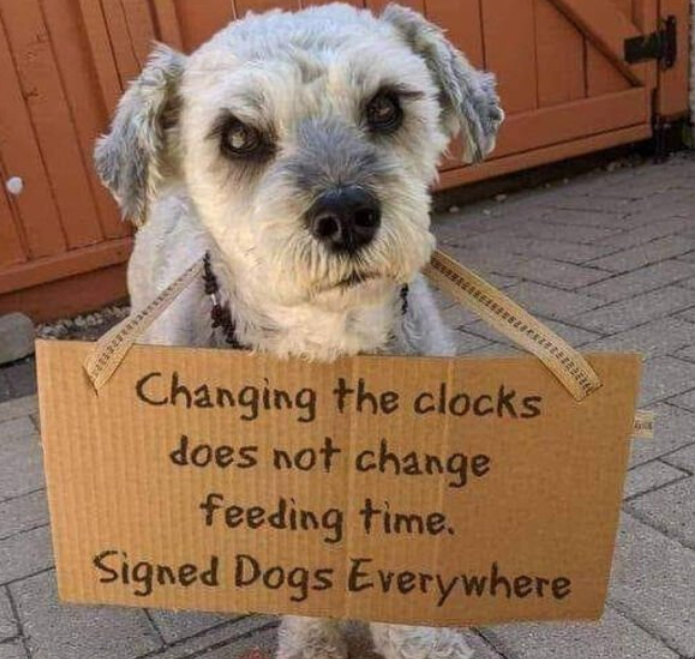 Funny Picture Thread [12]-dog-clocks.png