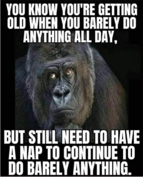 Funny Picture Thread [12]-getting-old-need-nap.jpg