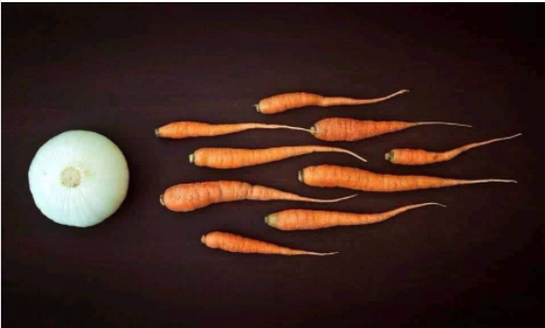 Funny Picture Thread [12]-onion-carrots.png