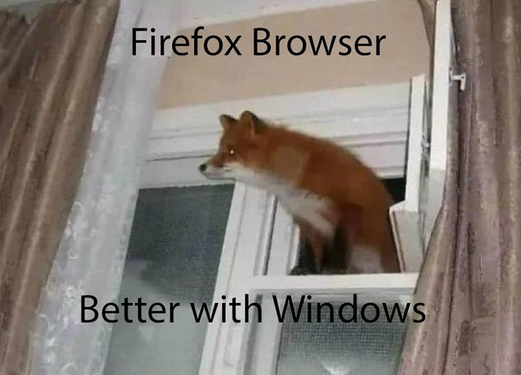 Funny Picture Thread [12]-firefox.jpg