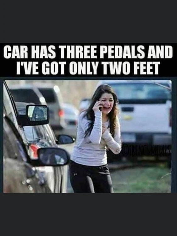 Funny Picture Thread [12]-many-pedals.jpg
