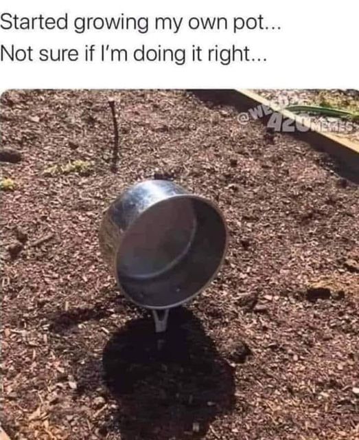 Funny Picture Thread [12]-growing-pot.jpg