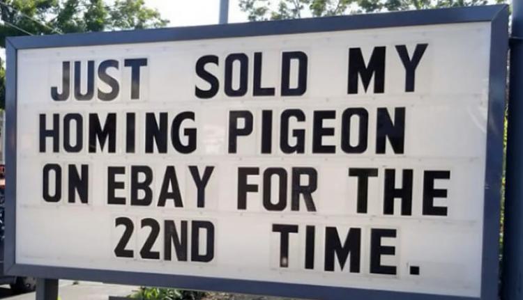 Funny Picture Thread [14]-sold-my-homing-pigeon.jpg